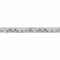 Mobile Preview: BASIC LED Strip Tunable White 12V DC 9,6W/m IP00
